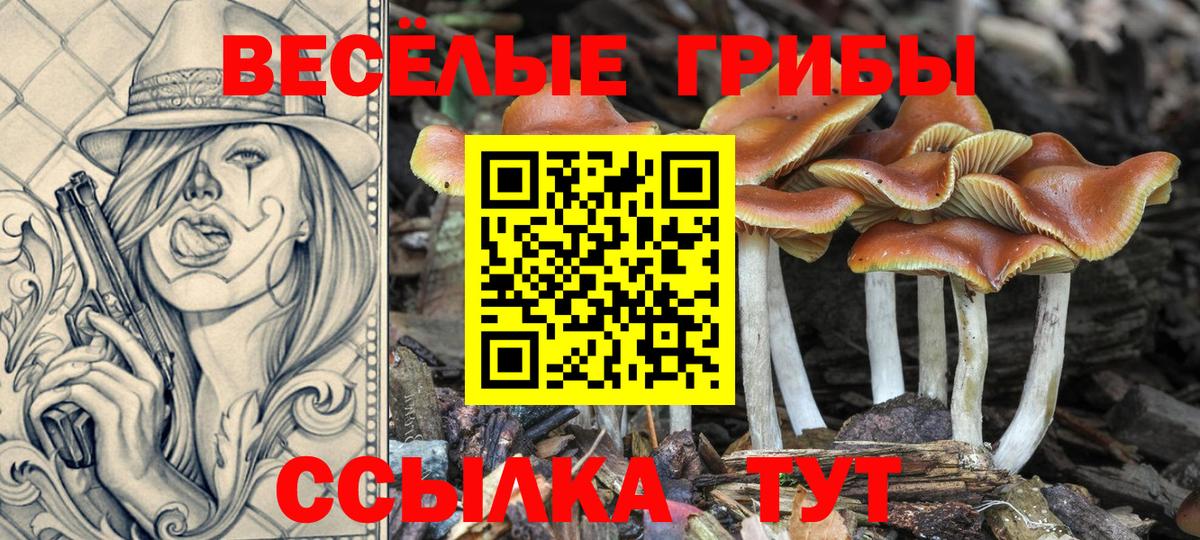 Арсеньев  Псилоцибиновые грибы Magic Shrooms  Вход с VPN 