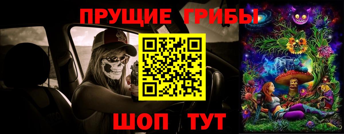 Псилоцибиновые грибы Psilocybine cubensis Арсеньев